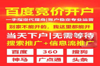 SEM推广优化中的关键词策略——以某品牌为例